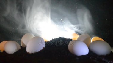 Tavuk ile karanlık sisli arka plan, yerdeki gerçeküstü tavuk yumurta. Kuş veya yumurta kavramı. Dekorasyon