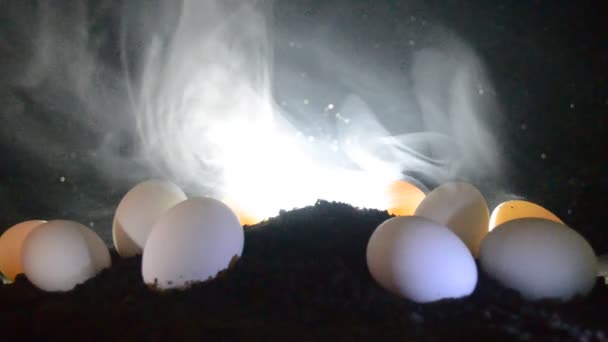 Uova di pollo surreali sul terreno a sfondo scuro nebbioso con gallina. Concetto di uccello o uovo. Decorazione — Video Stock