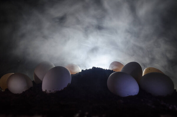 Сюрреалистичные куриные яйца на земле на темном туманном фоне с курицей. Концепция птицы или яйца. Кленовое украшение
