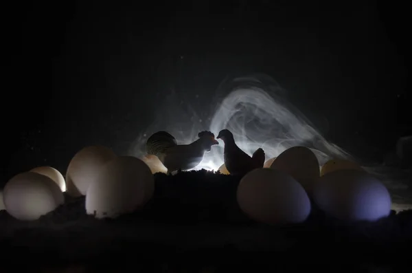 Surrealistisch kip eieren op de grond op de donkere, mistige achtergrond met kip. Vogel of ei concept. Tapble decoratie — Stockfoto