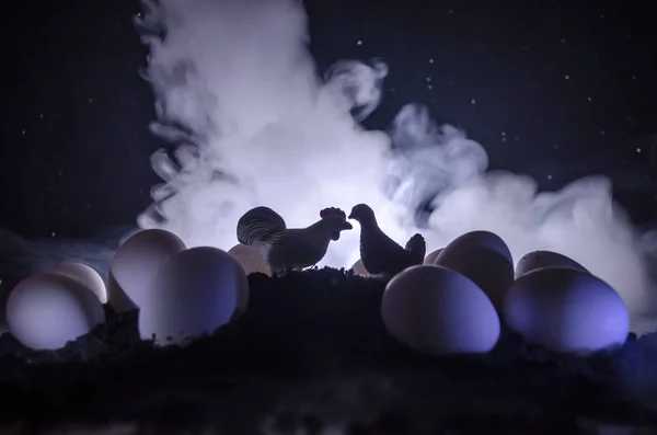 Poulet surréaliste Oeufs sur le sol à fond brouillard sombre avec poule. Concept d'oiseau ou d'œuf. Tapble décoration — Photo