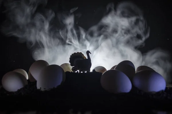 Surrealistisch kip eieren op de grond op de donkere, mistige achtergrond met kip. Vogel of ei concept. Tapble decoratie — Stockfoto