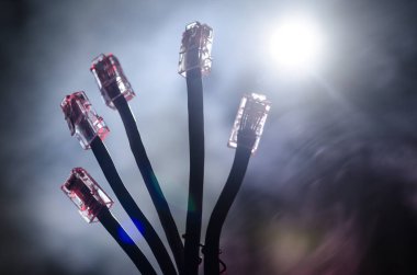 Ağ anahtarı ve ethernet kabloları, global iletişim sembolüdür. Işıklar ve duman ile koyu arka plan üzerinde renkli ağ kabloları. Seçici odak