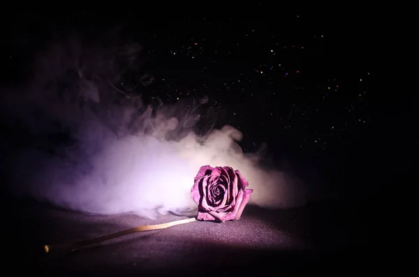 A wilting rose signifies lost love, divorce, or a bad relationship, dead rose on dark background — Stock Photo, Image