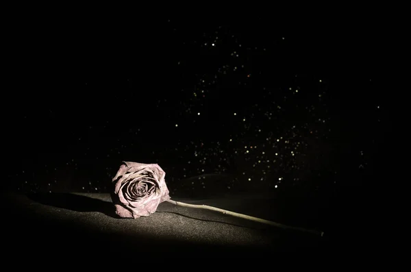 Una rosa marchita significa amor perdido, divorcio, o una mala relación, rosa muerta sobre fondo oscuro — Foto de Stock