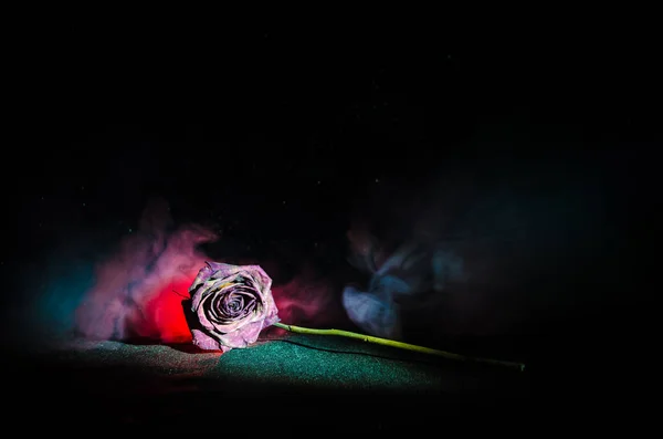 Una rosa marchita significa amor perdido, divorcio, o una mala relación, rosa muerta sobre fondo oscuro — Foto de Stock