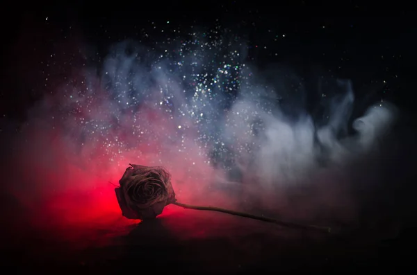 A wilting rose signifies lost love, divorce, or a bad relationship, dead rose on dark background — Stock Photo, Image