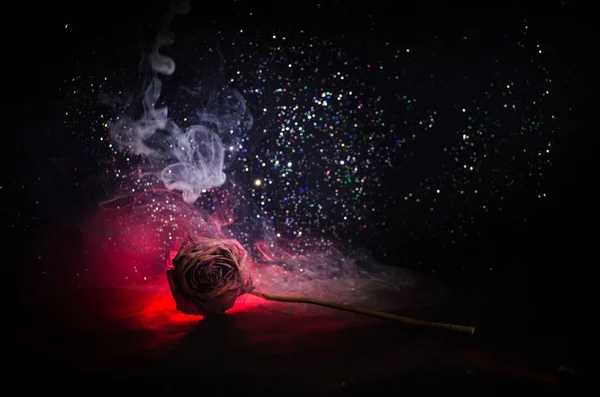Uma rosa murcha significa amor perdido, divórcio, ou um mau relacionamento, rosa morta no fundo escuro — Fotografia de Stock