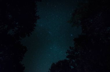 Dağ yolu ormandaki bir dolunay gecesi. Moon ile koyu mavi gökyüzünün doğal gece manzarası. Azerbaycan. Uzun çekim fotoğraf