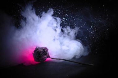 A wilting rose signifies lost love, divorce, or a bad relationship, dead rose on dark background clipart