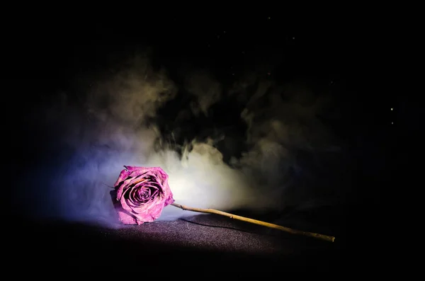 Uma rosa murcha significa amor perdido, divórcio, ou um mau relacionamento, rosa morta no fundo escuro — Fotografia de Stock