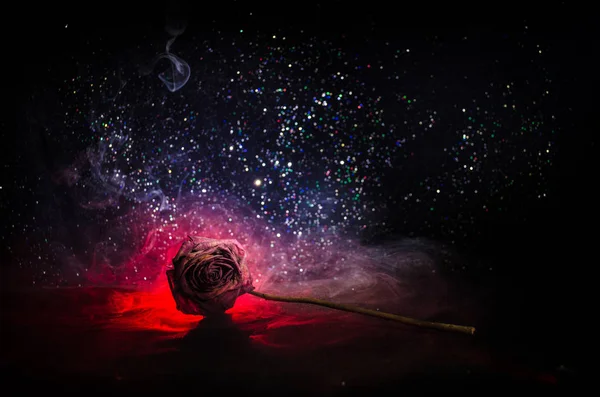 A wilting rose signifies lost love, divorce, or a bad relationship, dead rose on dark background — Stock Photo, Image