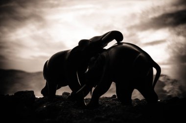 Filler Hill mücadele.