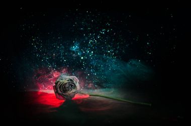 Solmuş bir gül aşkı, boşanma veya kötü bir ilişki, koyu arka plan üzerinde ölü gül anlamına gelir