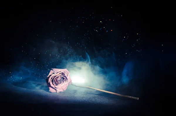 Uma rosa murcha significa amor perdido, divórcio, ou um mau relacionamento, rosa morta no fundo escuro — Fotografia de Stock
