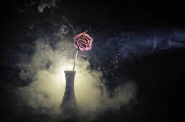 Solmuş bir gül aşkı, boşanma veya kötü bir ilişki, koyu arka plan üzerinde ölü gül anlamına gelir
