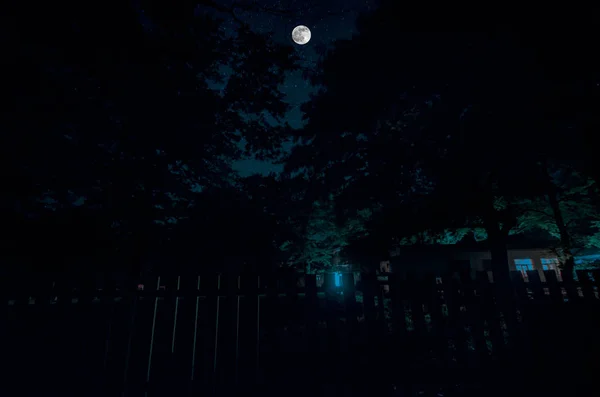 Mountain Road a través del bosque en una noche de luna llena. Paisaje nocturno escénico de cielo azul oscuro con luna. Azerbaiyán. Fotografía del obturador largo — Foto de Stock