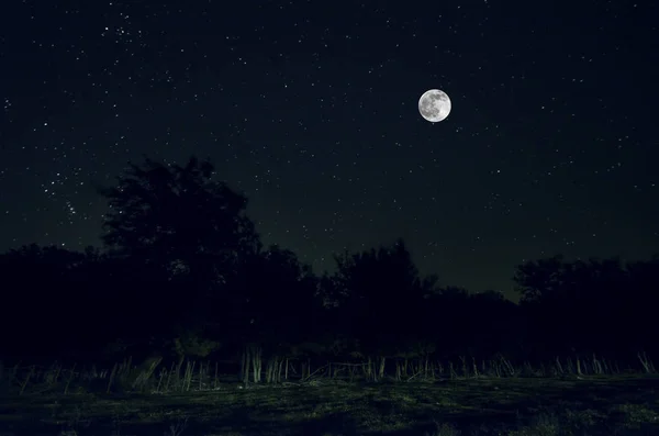 満月の夜に森の中の山道。月と濃い青空の風光明媚な夜の風景。アゼルバイジャン。長いシャッター写真 — ストック写真