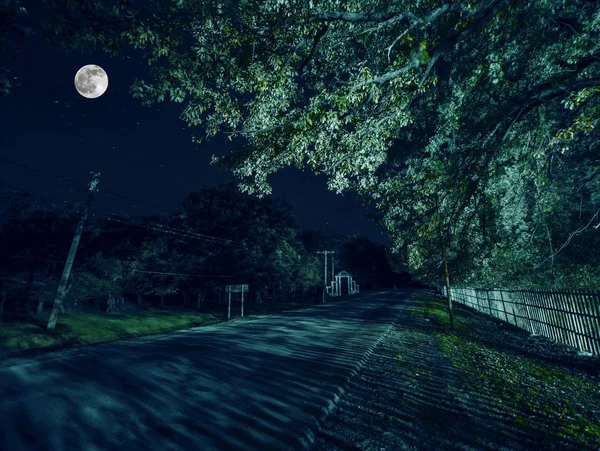 Mountain Road attraverso la foresta in una notte di luna piena. Paesaggio notturno scenografico di cielo blu scuro con luna. Azerbaigian. Tapparella lunga foto — Foto Stock