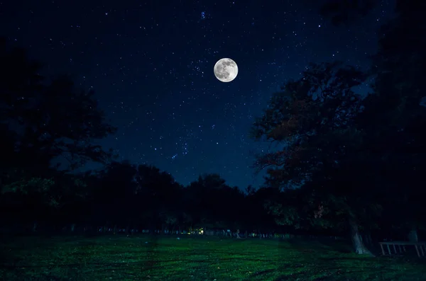 Horská silnice lesem na noc úplňku. Vyhlídkové noční krajina tmavě modré oblohy s měsícem. Ázerbájdžán. Foto dlouho okenice — Stock fotografie