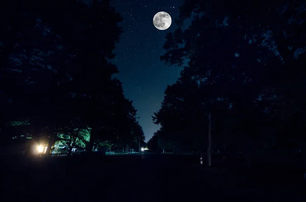 Horská silnice lesem na noc úplňku. Vyhlídkové noční krajina tmavě modré oblohy s měsícem. Ázerbájdžán. Foto dlouho okenice — Stock fotografie