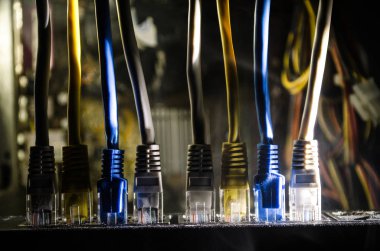 Ağ anahtarı ve ethernet kabloları, global iletişim sembolüdür. Işıklar ve duman ile koyu arka plan üzerinde renkli ağ kabloları. Seçici odak