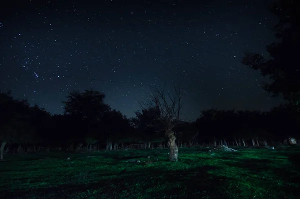 Horská silnice lesem na noc úplňku. Vyhlídkové noční krajina tmavě modré oblohy s měsícem. Ázerbájdžán. Foto dlouho okenice — Stock fotografie