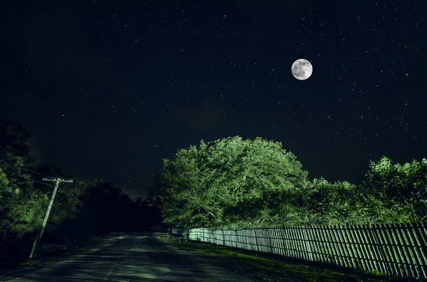 Гірській дорозі через ліс на ніч повного місяця. Мальовничі нічний краєвид темно-Синє небо з місяця. Азербайджан. Довгі витримки фото — стокове фото