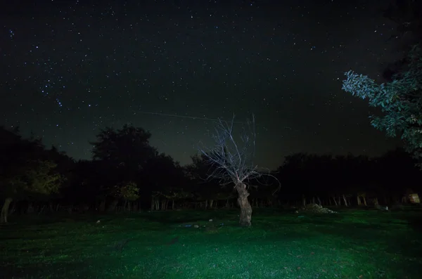 Horská silnice lesem na noc úplňku. Vyhlídkové noční krajina tmavě modré oblohy s měsícem. Ázerbájdžán. Foto dlouho okenice — Stock fotografie