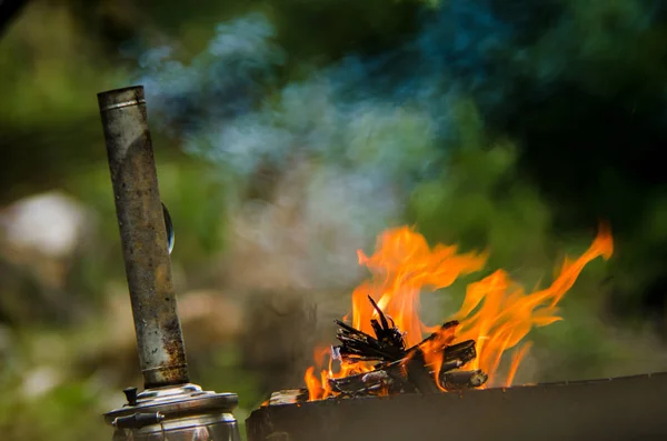 Oheň v lese na jaře, detail. Selektivní fokus — Stock fotografie