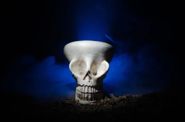 Crânio assustador em fundo escuro claro tonificado. Design para fundo Halloween ou tema de terror. Foco seletivo — Fotografia de Stock