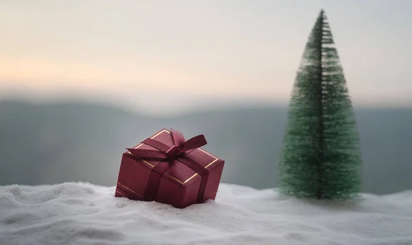 Caixa de presente de Natal vermelho e abeto na neve. Decoração de casa de Natal com neve e árvore no fundo borrado durante o dia com espaço de cópia. Foco seletivo . — Fotografia de Stock