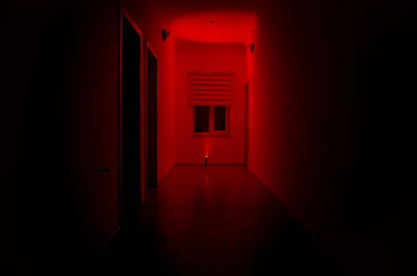 Koridor gelap dengan pintu lemari dan gambar cahaya beku di atasnya. Konsep Horror. Tema Halloween — Stok Foto