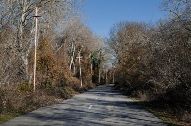 Dağın içine gidiyor yol asfalt manzara ağaçlar, köy ve orman yerler geçer. ya da kırsal yerlerde günbatımı Azerbaycan'ın. Kış saati