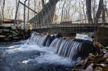 Orman ağaçları ve günbatımı zaman akan su. Azerbaycan