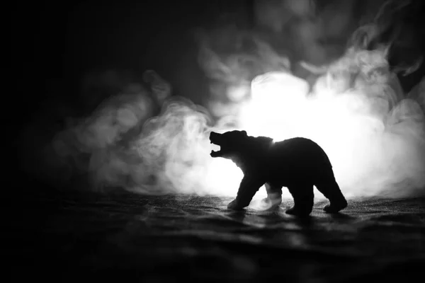 Angry bear behind the fire cloudy sky. The silhouette of a bear in foggy forest dark background. Selective focus