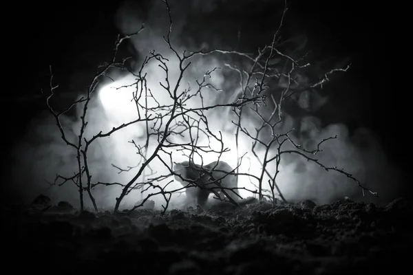 Oso enojado detrás del cielo nublado fuego. La silueta de un oso en el bosque de niebla fondo oscuro. Enfoque selectivo —  Fotos de Stock