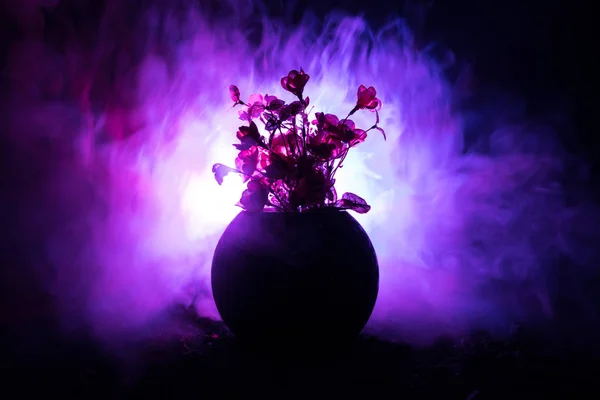 Pintorescas flores de primavera púrpura en jarrón de vidrio de pie en una fila sobre un fondo oscuro con estrellas con luz y niebla. Concepto de flor . — Foto de Stock