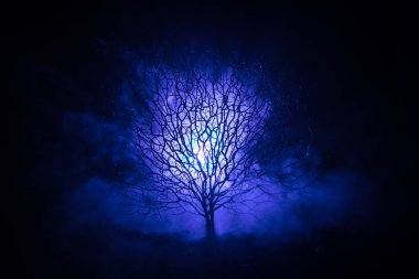 Karanlık sisli yüzündeki korku korkunç Cadılar Bayramı ağacıyla silüeti arka plan arka yüzü aya ile tonda. Zombi ve şeytan yüzü olan korkunç korku ağaç.