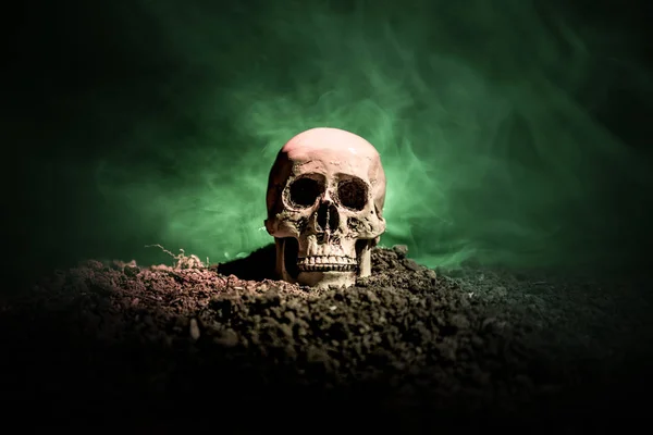 Frontview of human skull open mouth on dark toned foggy background. Horror concept. — Stock Photo, Image