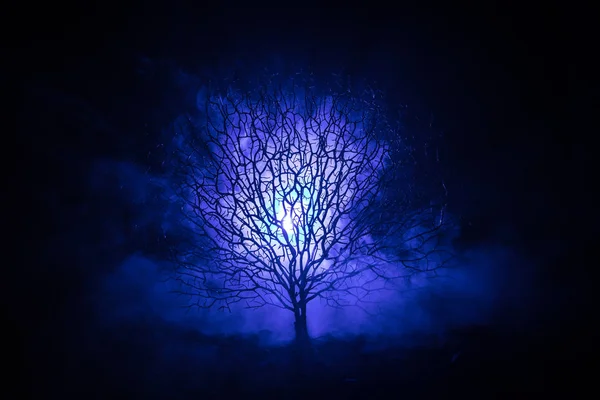 Sylwetka przerażające Halloween drzewo z twarzą horror na ciemny mglisty stonowanych tło z księżyca na tylnej stronie. Drzewo straszny horror z zombie i demon twarze. — Zdjęcie stockowe