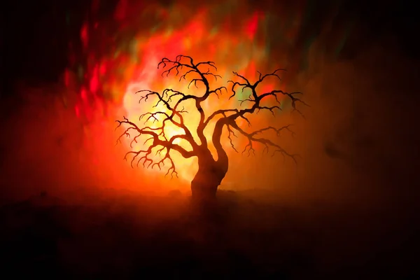 Silhueta de árvore de Halloween assustador no fundo escuro enevoado tonificado com a lua no lado de trás . — Fotografia de Stock