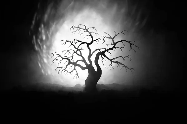 Silhouette of scary Halloween tree on dark foggy toned background with moon on back side.