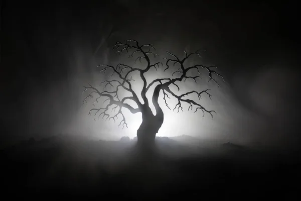 可怕的万圣节树的剪影在黑暗的雾色调背景与月球背面. — 图库照片