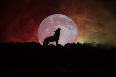 Siluet karanlık karşı uluyan kurt sisli arka plan ve dolunay ya da kurt tam aya inleyen siluet tonda. Halloween korku kavramı.