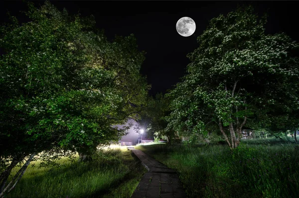 Wunderschöne nächtliche Landschaft des großen Vollmondes über der Bergstraße mit Hügeln und Bäumen, mystisches Konzept — Stockfoto