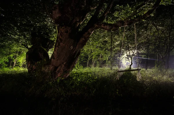 Nebbia notturna nel villaggio. Misterioso. Chiaro di luna. Illuminazione Swing vicino all'albero nel cortile. La luce dal retro degli alberi. Mystic notte ountryside. Luce nella nebbia . — Foto Stock