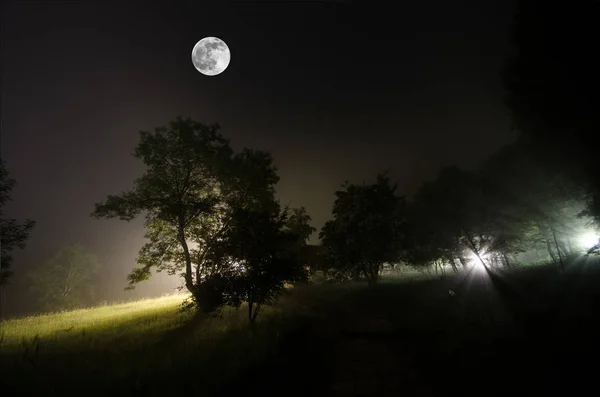 Bela paisagem noturna de grande lua cheia subindo sobre a estrada da montanha com colina e árvores, conceito místico — Fotografia de Stock