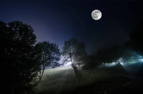 Ночной пейзаж большой полнолуния, возвышающийся над горной дорогой с холмами и деревьями, мистическая концепция — стоковое фото