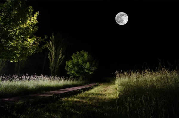 Прекрасний нічний пейзаж великого повного місяця, що сходить над гірською дорогою з пагорбами та деревами, містична концепція — стокове фото